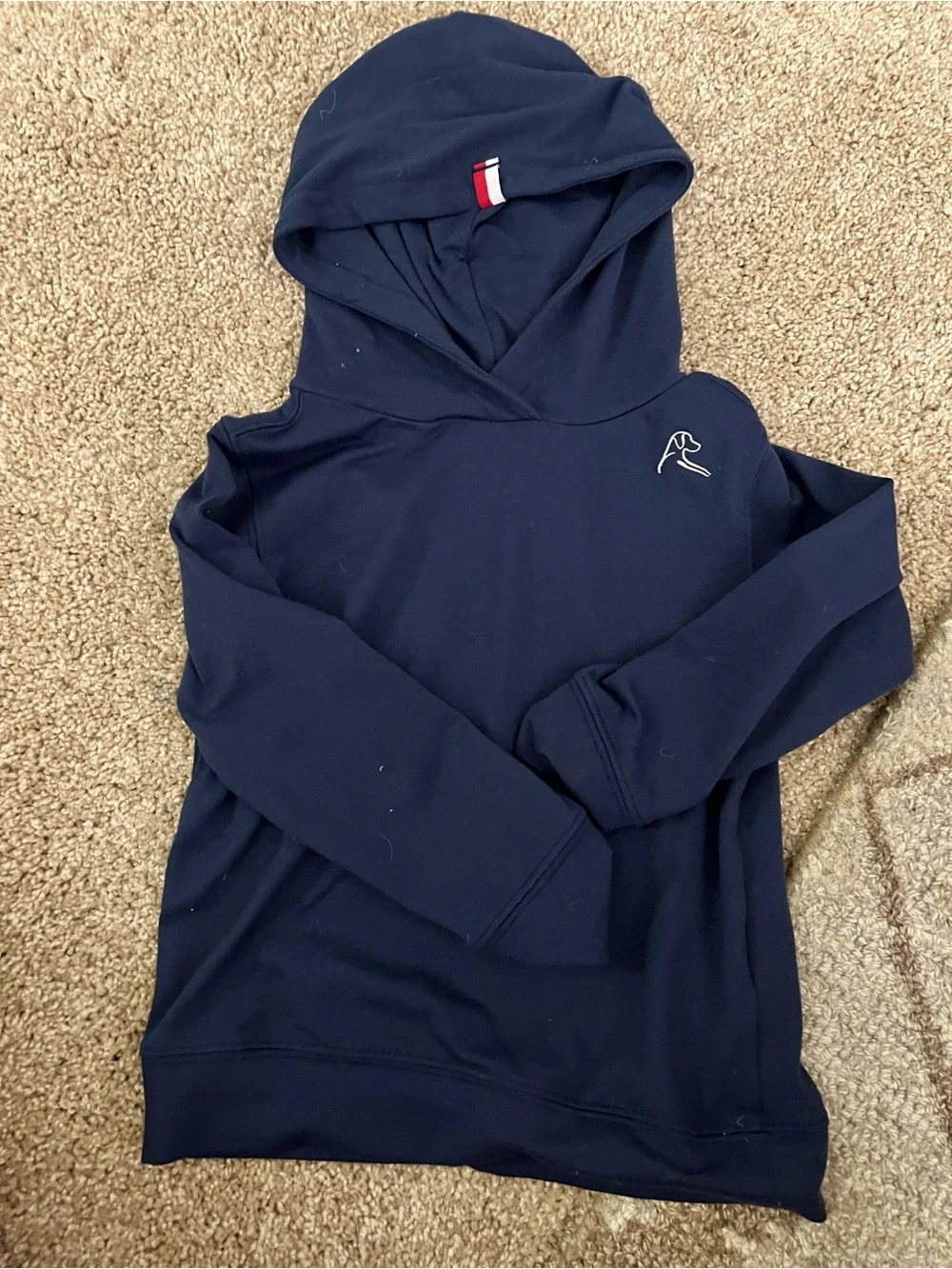 Rhoback Toddler Hoodie